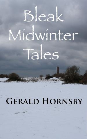 Cover of the book Bleak Midwinter Tales by Debbie Lacy