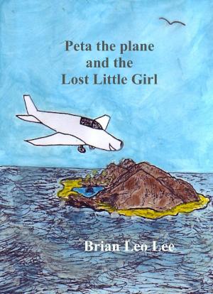 Book cover of Peta the Plane and the Lost Little Girl