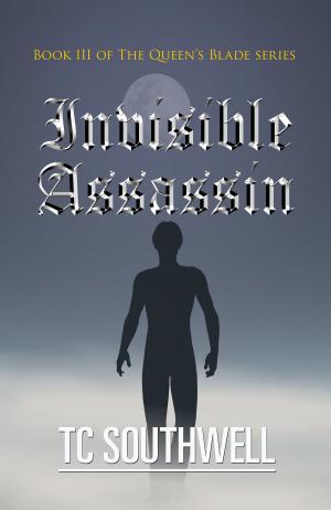 Cover of the book The Queen's Blade III: Invisible Assassin by Nicholas J. Ambrose