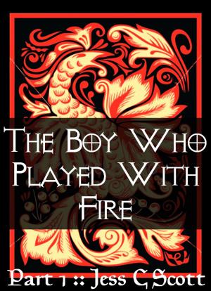 Book cover of The Boy Who Played with Fire (Part 1)