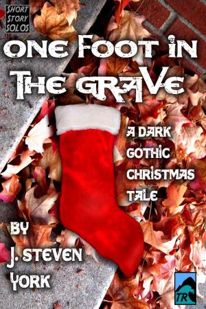 Cover of the book One Foot in the Grave-A Holiday Short Short Story by Sydney T. Cat