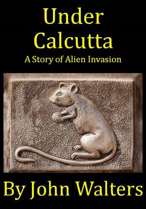 Cover of the book Under Calcutta by John Walters
