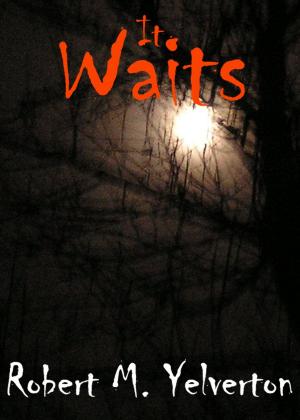 Cover of the book It Waits by Xander Ares