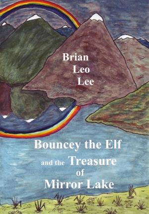 Book cover of Bouncey the Elf and the Treasure of Mirror Lake
