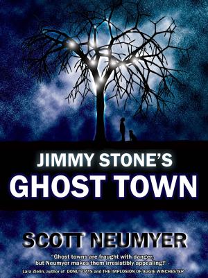 Cover of Jimmy Stone's Ghost Town