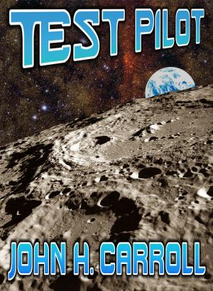 Cover of the book Test Pilot by Wendy Terrien