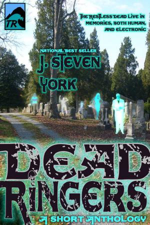 Cover of the book DeadRingers by Sydney T. Cat