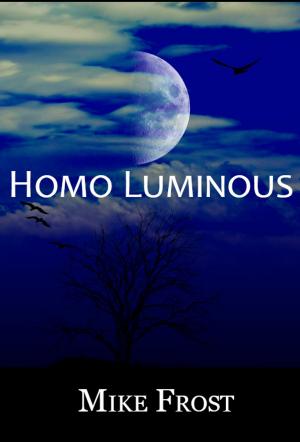 Cover of the book Homo Luminous by Abhay Adil
