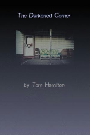 Book cover of The Darkened Corner