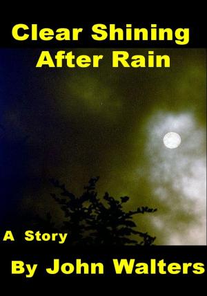 Cover of the book Clear Shining After Rain by John Walters