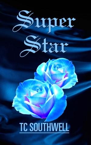 Cover of the book Superstar by Emily Leigh