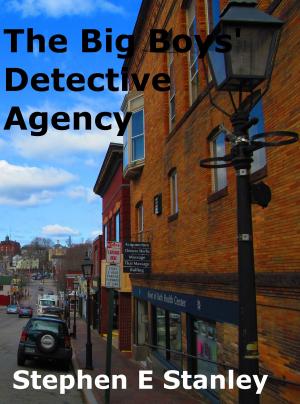 bigCover of the book The Big Boys' Detective Agency by 
