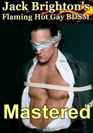 Book cover of Mastered