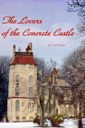 Book cover of The Lovers of the Concrete Castle