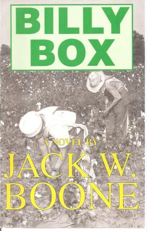 Book cover of Billy Box