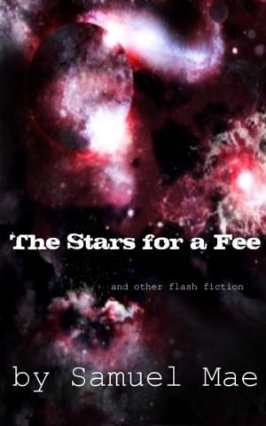 Cover of the book The Stars for a Fee and other flash fiction by Lana Venti