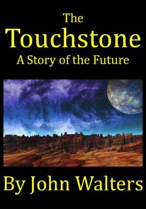 Cover of the book The Touchstone by C Radhakrishnan