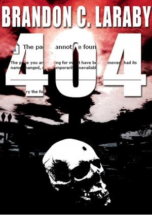 bigCover of the book 404 by 