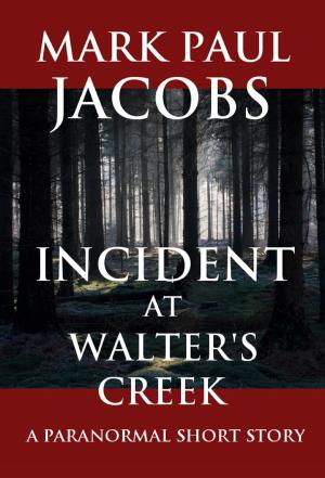bigCover of the book Incident at Walter's Creek by 