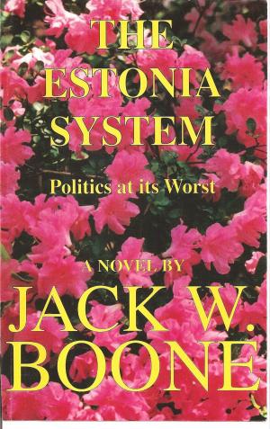 Book cover of The Estonia System