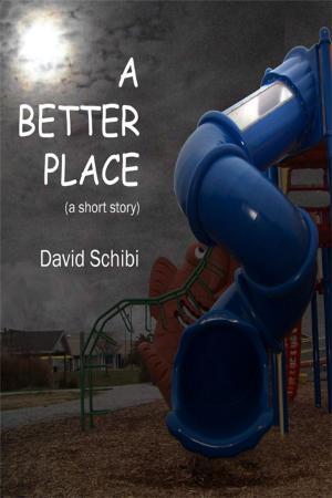 bigCover of the book A Better Place by 
