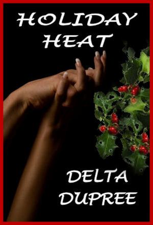 Book cover of Holiday Heat