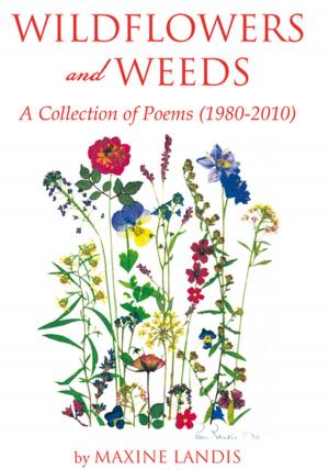 Cover of the book Wildflowers and Weeds by Cheryl Richardson