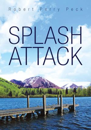 Cover of the book Splash Attack by Betty Waltermire