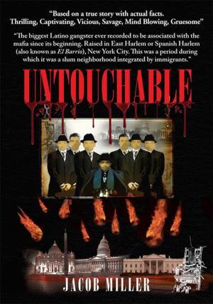 Cover of the book Untouchable by Jerome Teelucksingh