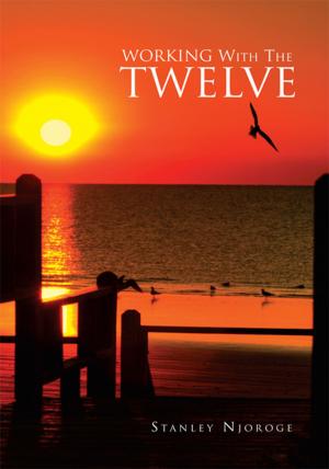 Cover of the book Working with the Twelve by John B. Fuller