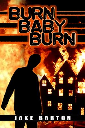 Cover of the book Burn, Baby, Burn by Sue Barr