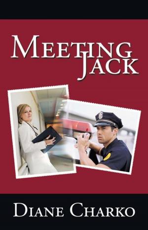 Cover of the book Meeting Jack by Jeffrey Allen Davis