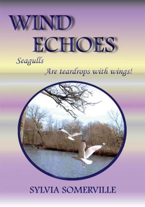 Cover of the book Wind Echoes by B.A. Zikria
