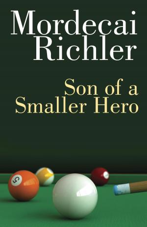 Book cover of Son of a Smaller Hero