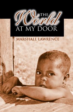 Cover of the book The World at My Door by Bismark Osei Akomeah