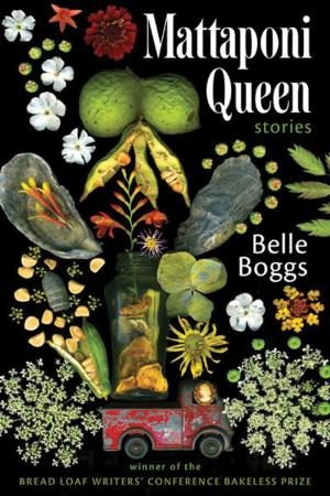 Book cover of Mattaponi Queen