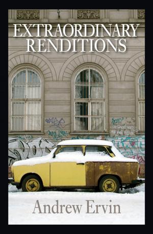 Cover of the book Extraordinary Renditions by LeAnne Howe