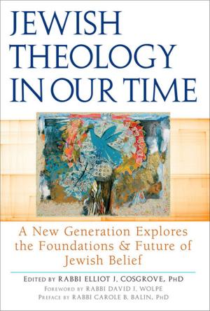 Cover of the book Jewish Theology in Our Time by Diana Raab, MFA, RN