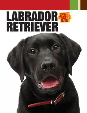 Cover of the book Labrador Retriever by Dogs Redhound for