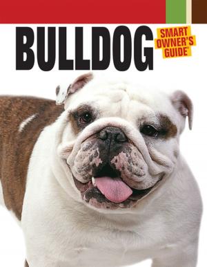 Cover of the book Bulldog by Annie Phenix