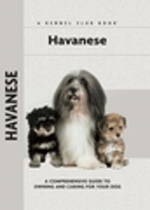 Cover of the book Havanese by Nikki Moustaki