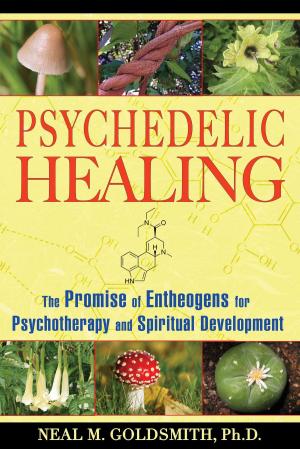 Book cover of Psychedelic Healing