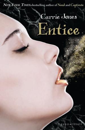 Cover of the book Entice by Dr Tony Schirato