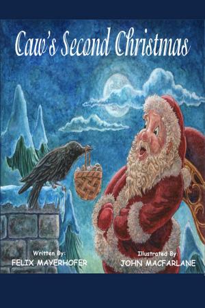 Cover of the book Caws's Second Christmas by Patrick W. Rosseter