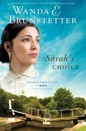 Cover of the book Sarah's Choice by Rebecca Currington, Janice Thompson