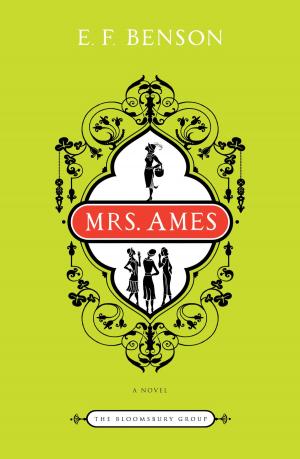 Book cover of Mrs. Ames