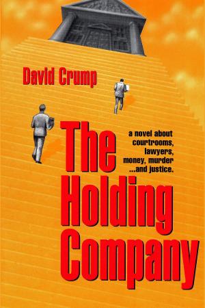 Cover of the book The Holding Company by Talia Carner