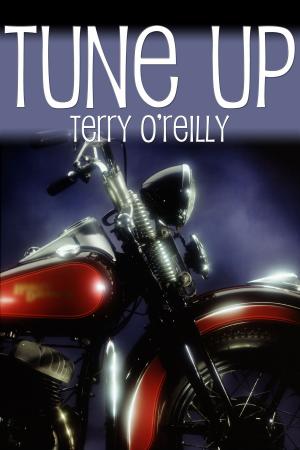 Cover of the book Tune Up by Gavin Atlas