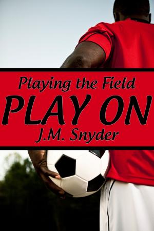 Cover of the book Playing the Field: Play On by Lex Baker