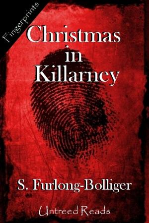 Cover of the book Christmas in Killarney by Jeffrey Moussaieff Masson